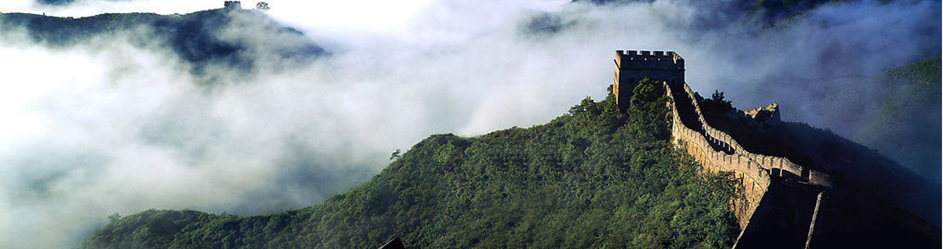 媒體報(bào)道